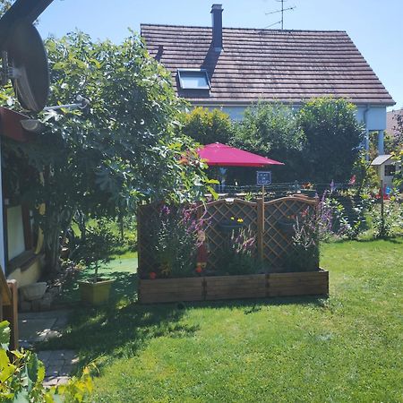 Gite Alsace Appenwihr Bagian luar foto