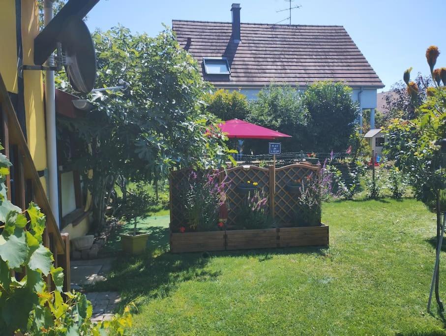 Gite Alsace Appenwihr Bagian luar foto
