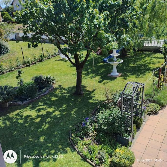 Gite Alsace Appenwihr Bagian luar foto